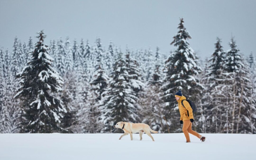 Lista Completa de Ropa para la Nieve